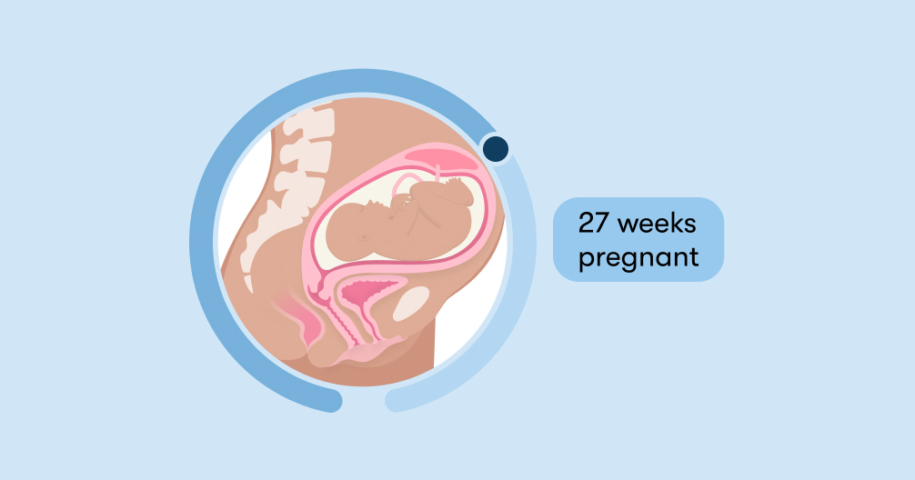 WHAT SHOULD I BE DOING AT 27 WEEKS PREGNANT visual data 3
